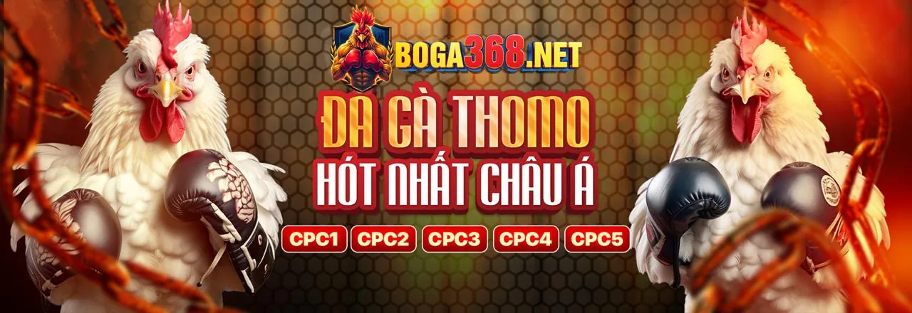 Sân đấu đá gà trực tuyến HN88 sôi động